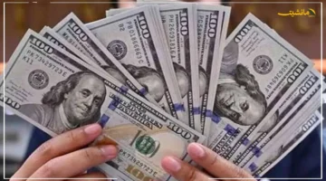 استقرار مفاجئ.. سعر الدولار اليوم في مصر يواصل تماسك الجنيه 1